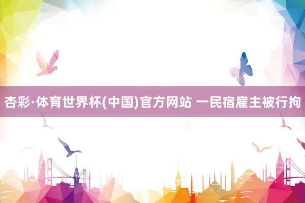 杏彩·体育世界杯(中国)官方网站 一民宿雇主被行拘