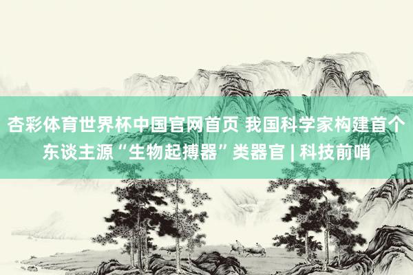 杏彩体育世界杯中国官网首页 我国科学家构建首个东谈主源“生物起搏器”类器官 | 科技前哨