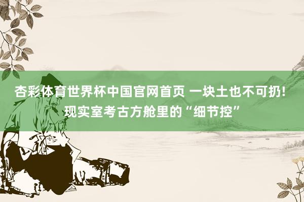 杏彩体育世界杯中国官网首页 一块土也不可扔! 现实室考古方舱里的“细节控”