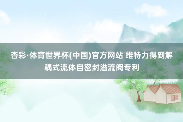 杏彩·体育世界杯(中国)官方网站 维特力得到解耦式流体自密封溢流阀专利
