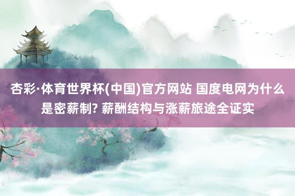 杏彩·体育世界杯(中国)官方网站 国度电网为什么是密薪制? 薪酬结构与涨薪旅途全证实