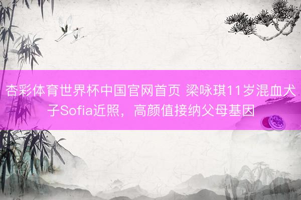 杏彩体育世界杯中国官网首页 梁咏琪11岁混血犬子Sofia近照，高颜值接纳父母基因