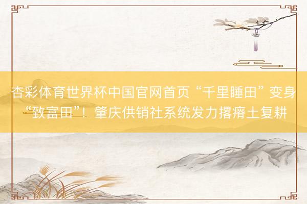 杏彩体育世界杯中国官网首页 “千里睡田” 变身 “致富田”！肇庆供销社系统发力撂瘠土复耕